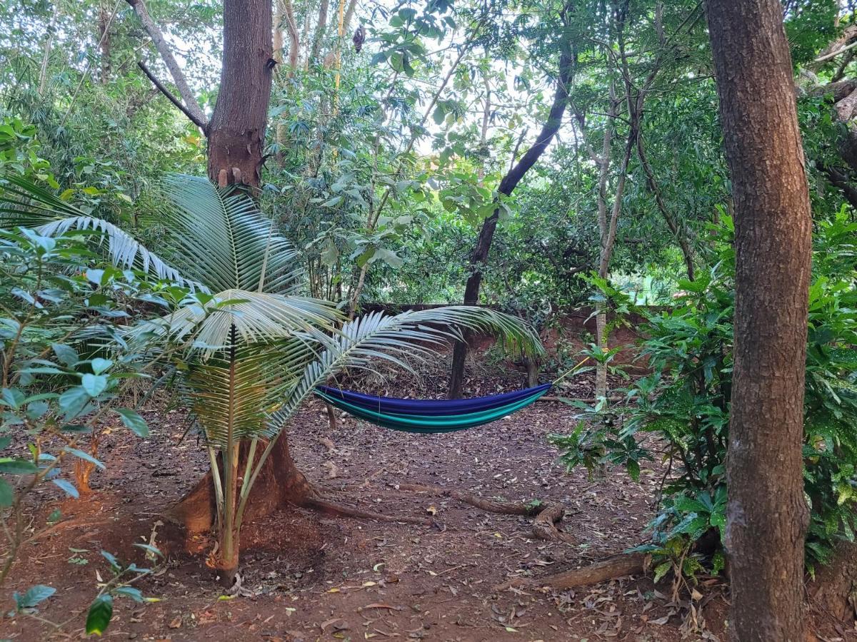 Sunny'S Paradise Gokarna (Karnataka) Eksteriør billede