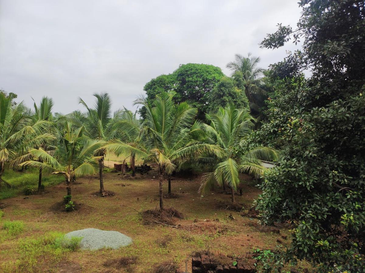 Sunny'S Paradise Gokarna (Karnataka) Værelse billede